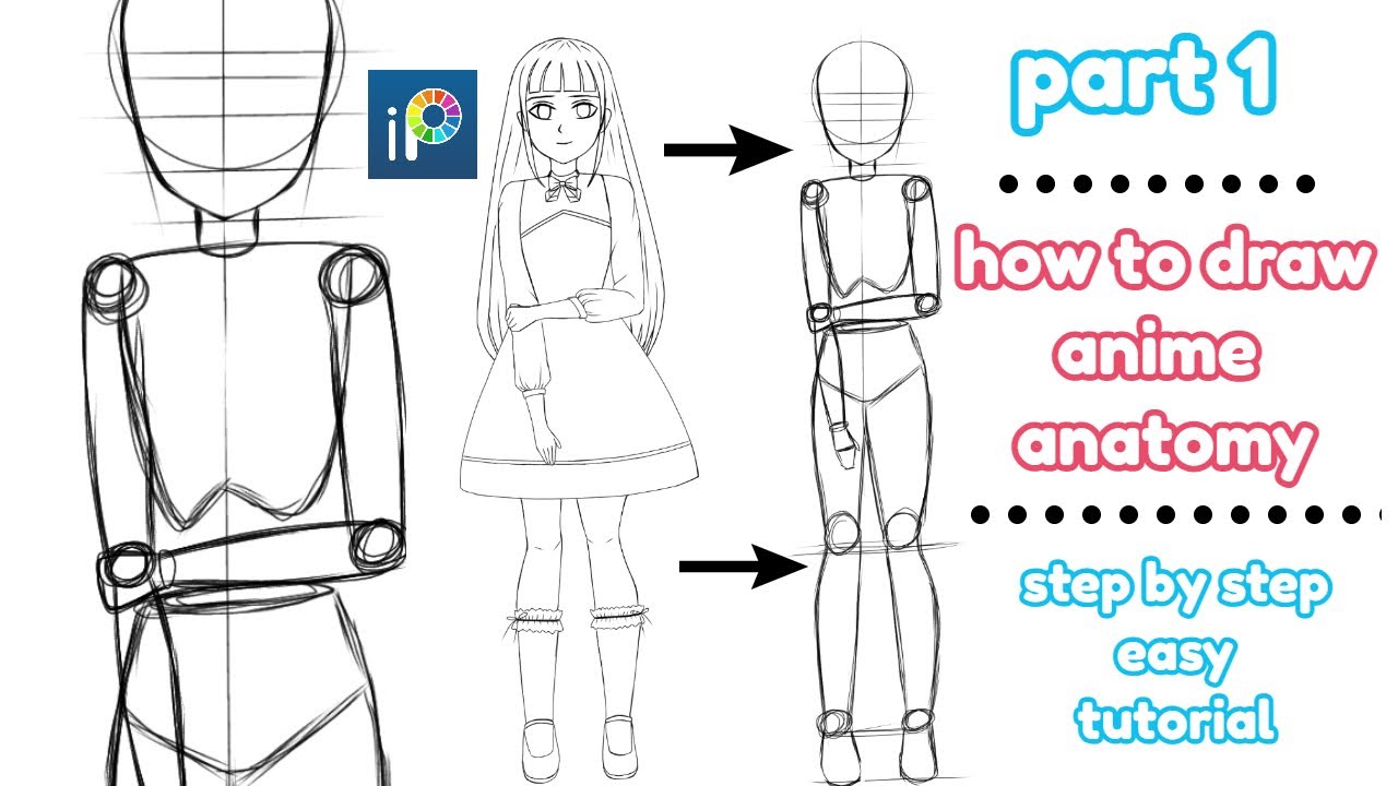 how to draw Anime girl anatomy in ibis paint x || easy tutorial for beginners  [part 1]