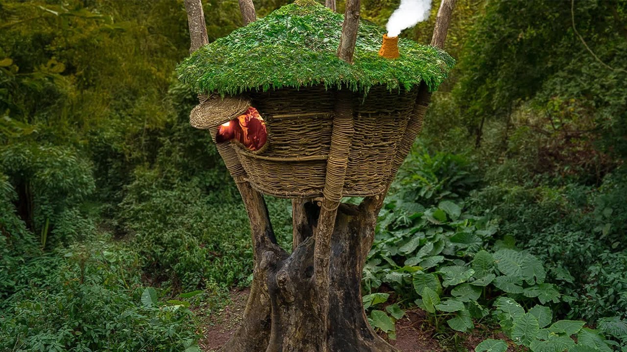 Building a Warm and Cozy Bushcraft Nest for Survival, a Vine House on an Old Tree, Catch and Cook