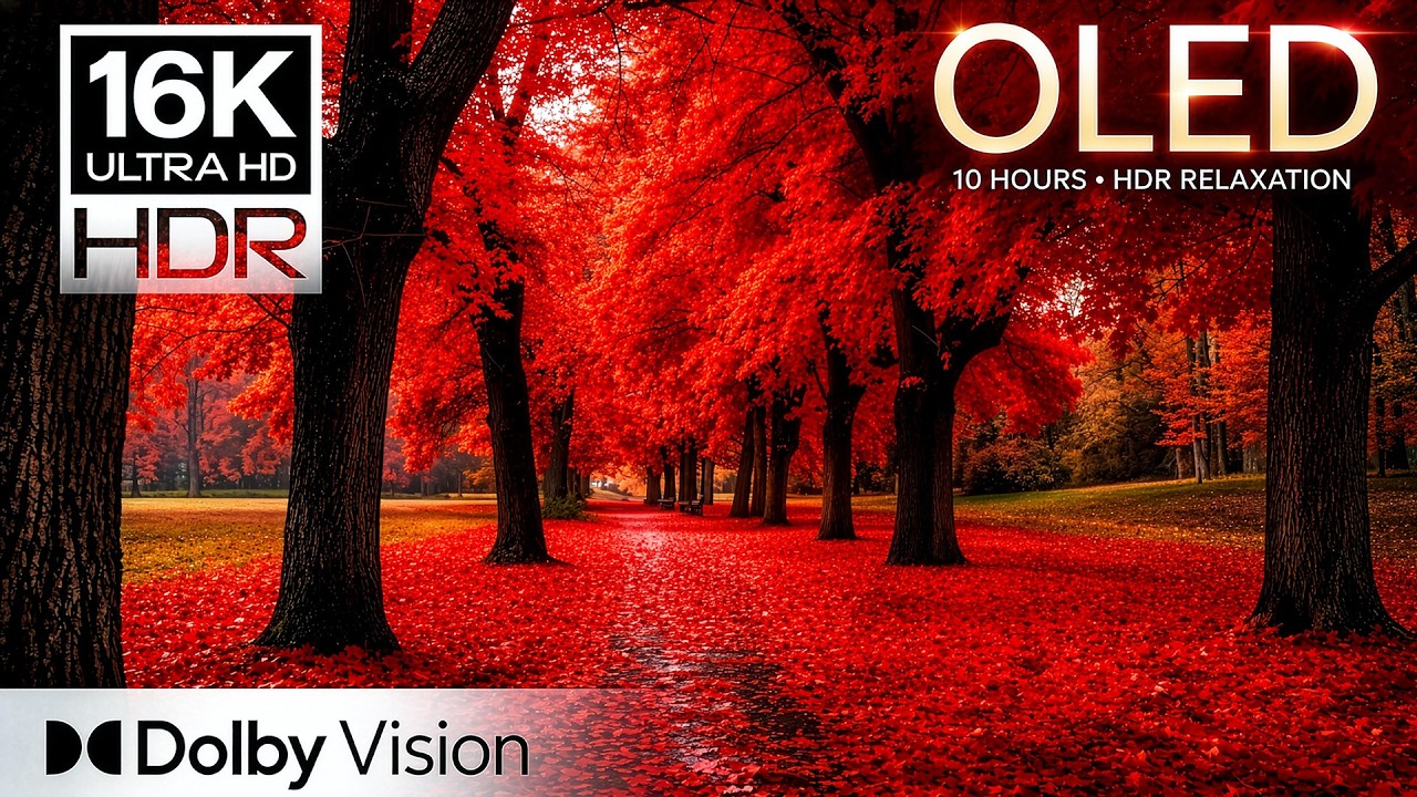 🌿 MOST BEAUTIFUL VIEWS (10 HOURS) | 16K HDR OLED Visual Masterpiece | Dolby Vision (For 4K/8K TV)