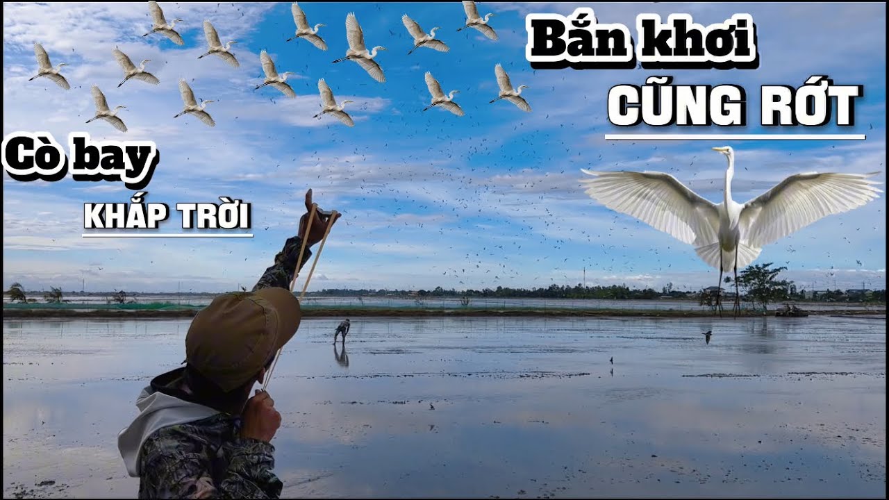 Tuấn nhỏ || rủ team đi săn bất ngờ phát hiện bày cò cực khủng như thế này....
