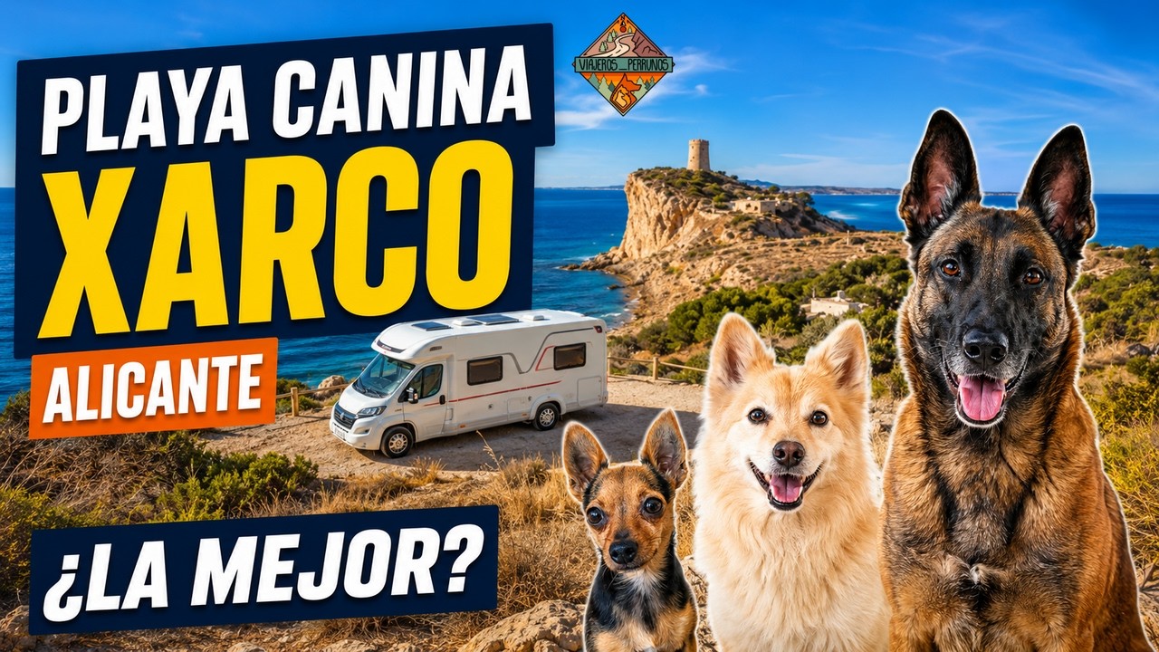 👉 PLAYA CANINA EN  ALICANTE