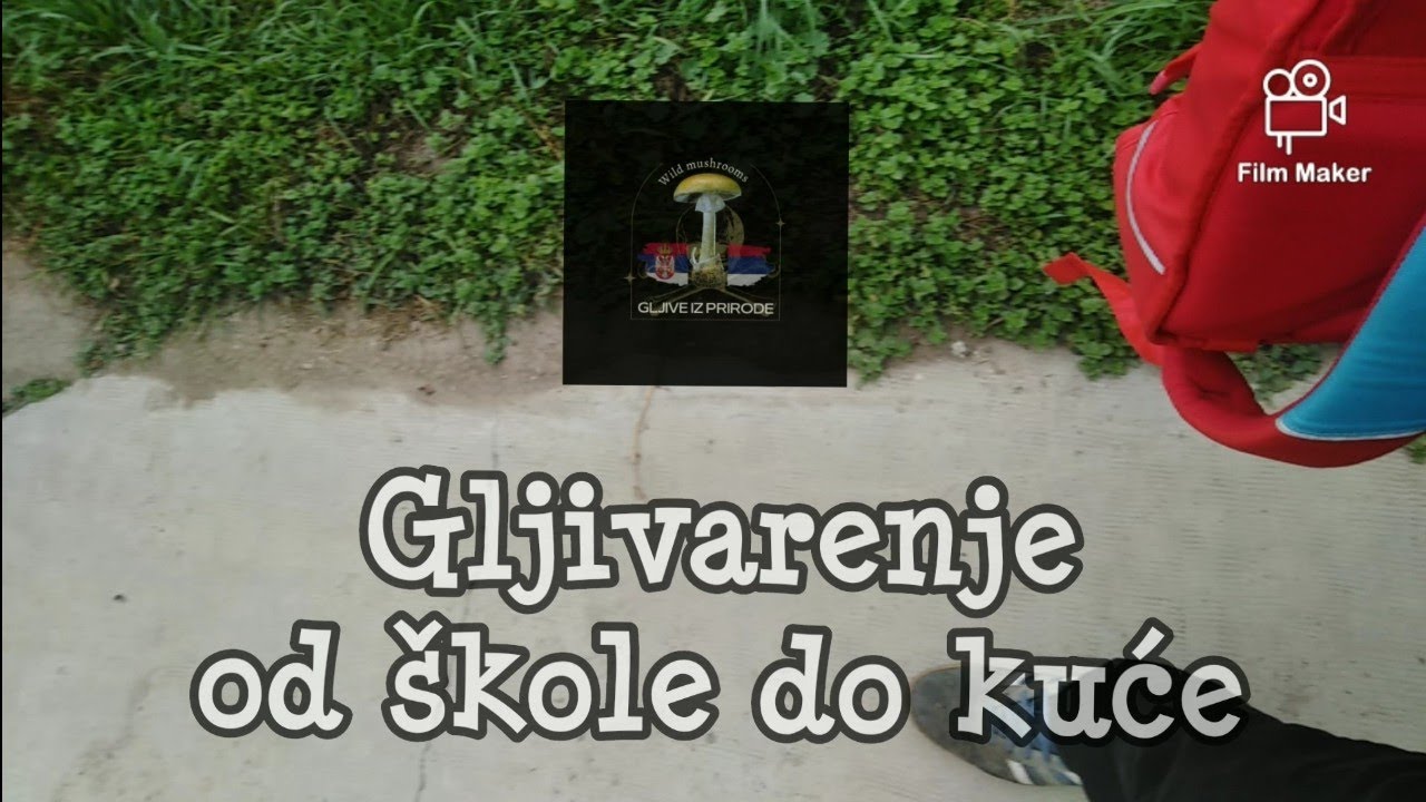Gljivarenje od škole do kuće 🏢🍄🚶‍♂️🏠