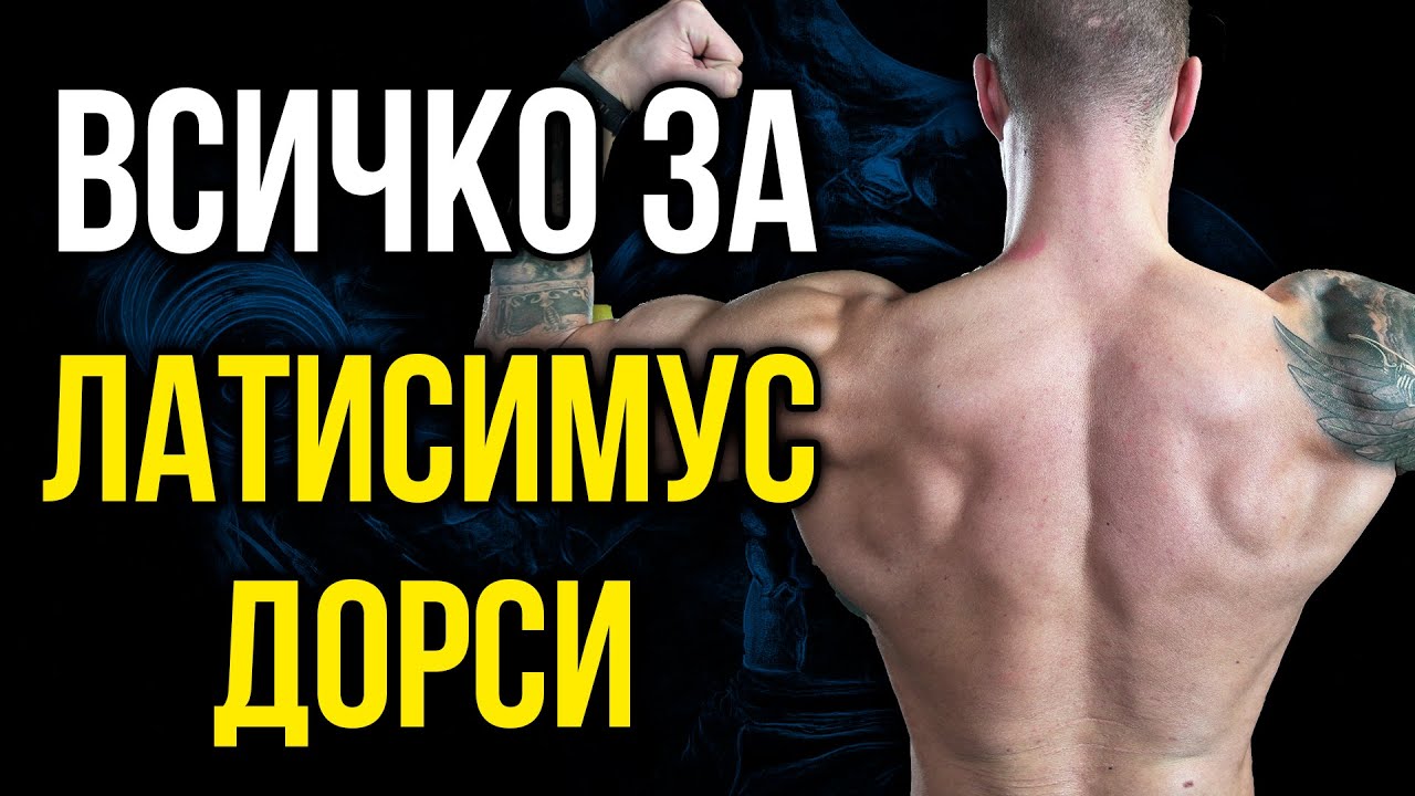 Всичко за ЛАТИСИМУС ДОРСИ (широк гръбен мускул) - Тестове, залавни места, движение и упражнения