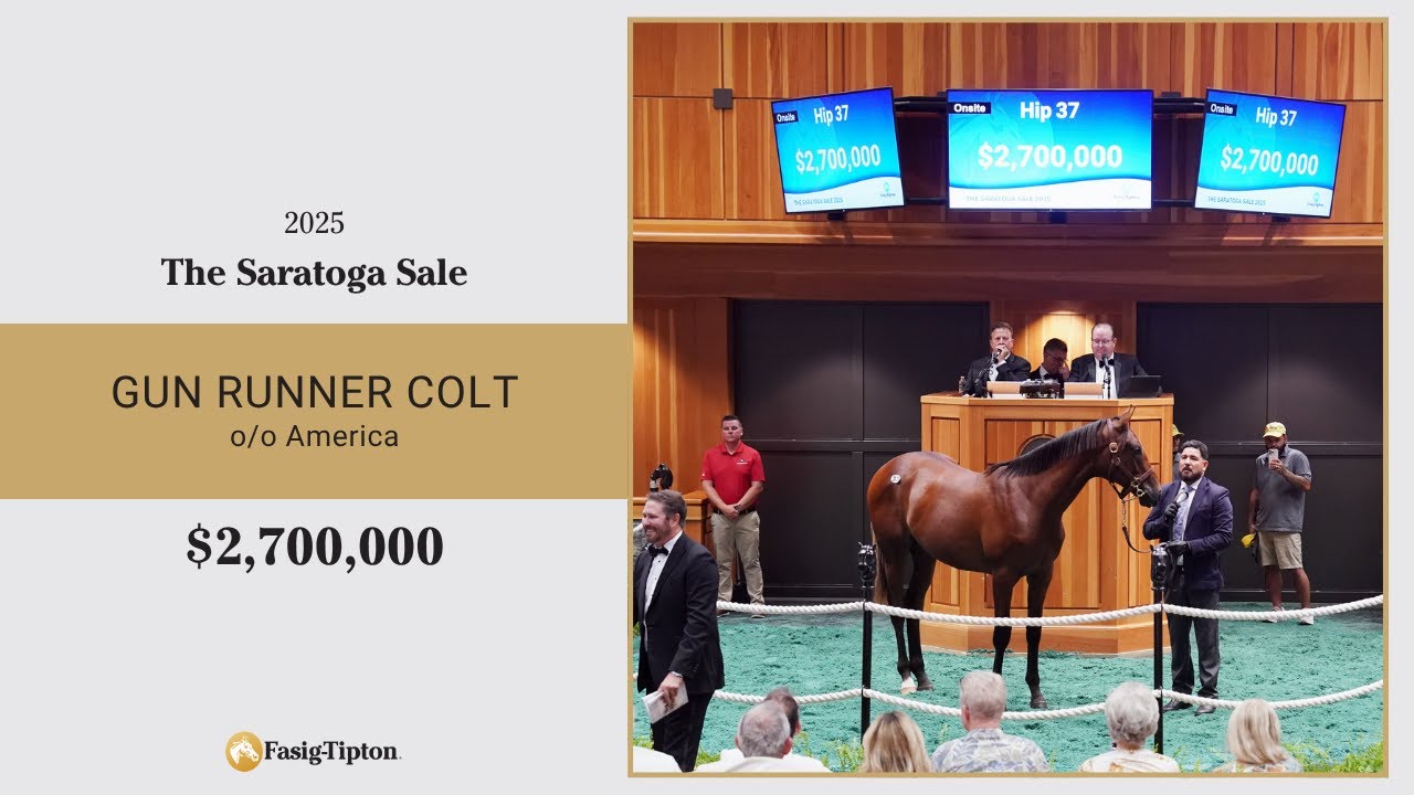 Gun Runner colt sells for $2,700,000 at The Saratoga Sale (2025)
