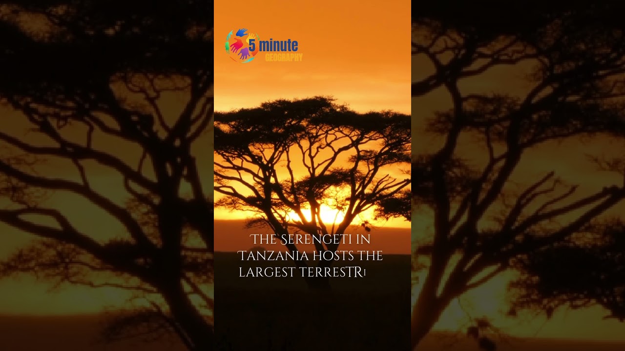 #SerengetiSaga #MigrationMagic #WildlifeWonders #africanadventure