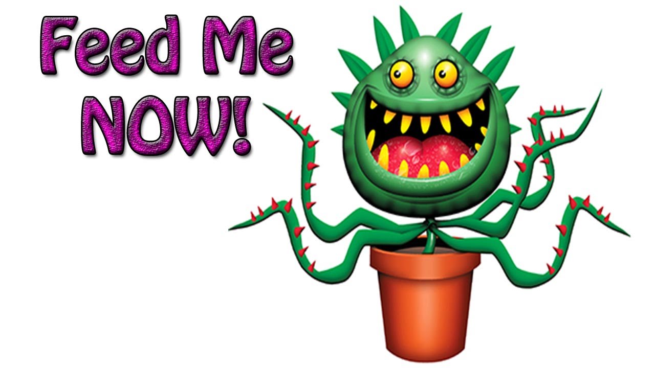 Liquid Feeding Pot Plants HD 1080p Quick & Easy Demo Guide