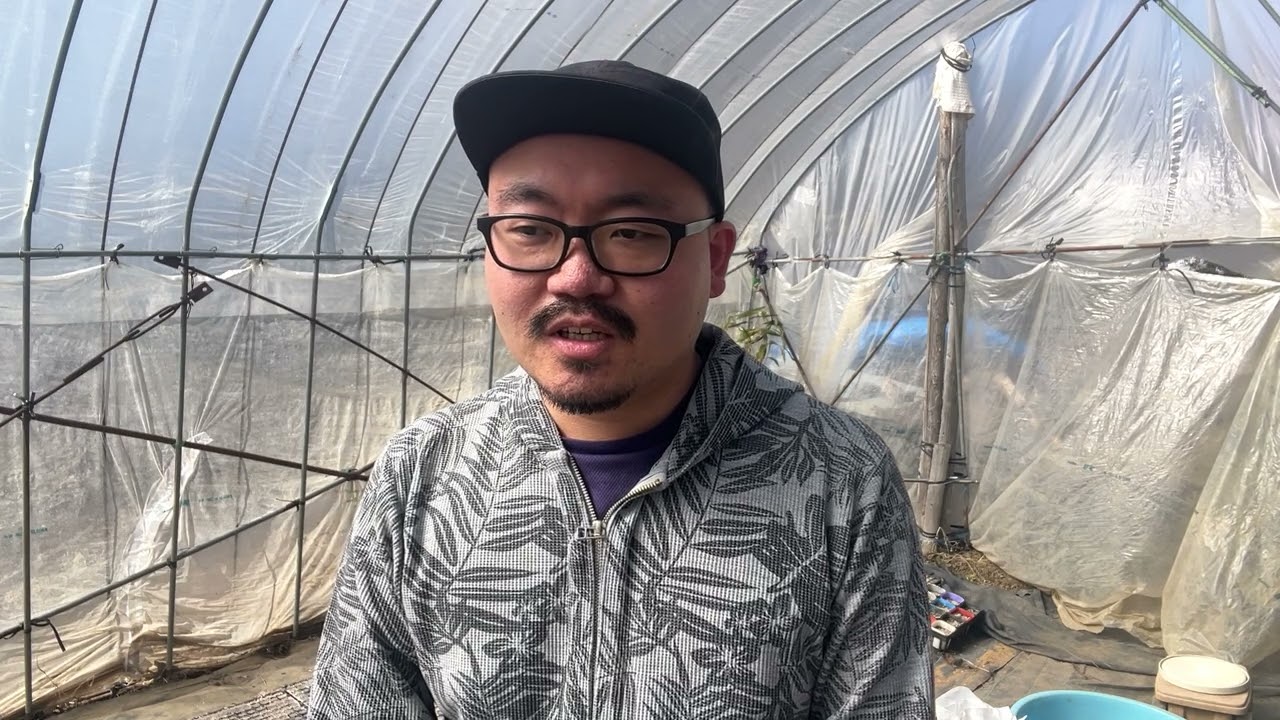ご報告　