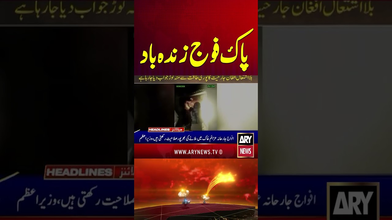 PAK-AFGHAN WAR UPDATES #afghantaliban #pakafghanwar #pakafghantensions #shorts #youtubeshorts
