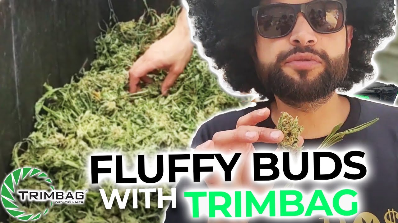 How to Trim Fluffy Buds with the Trimbag!