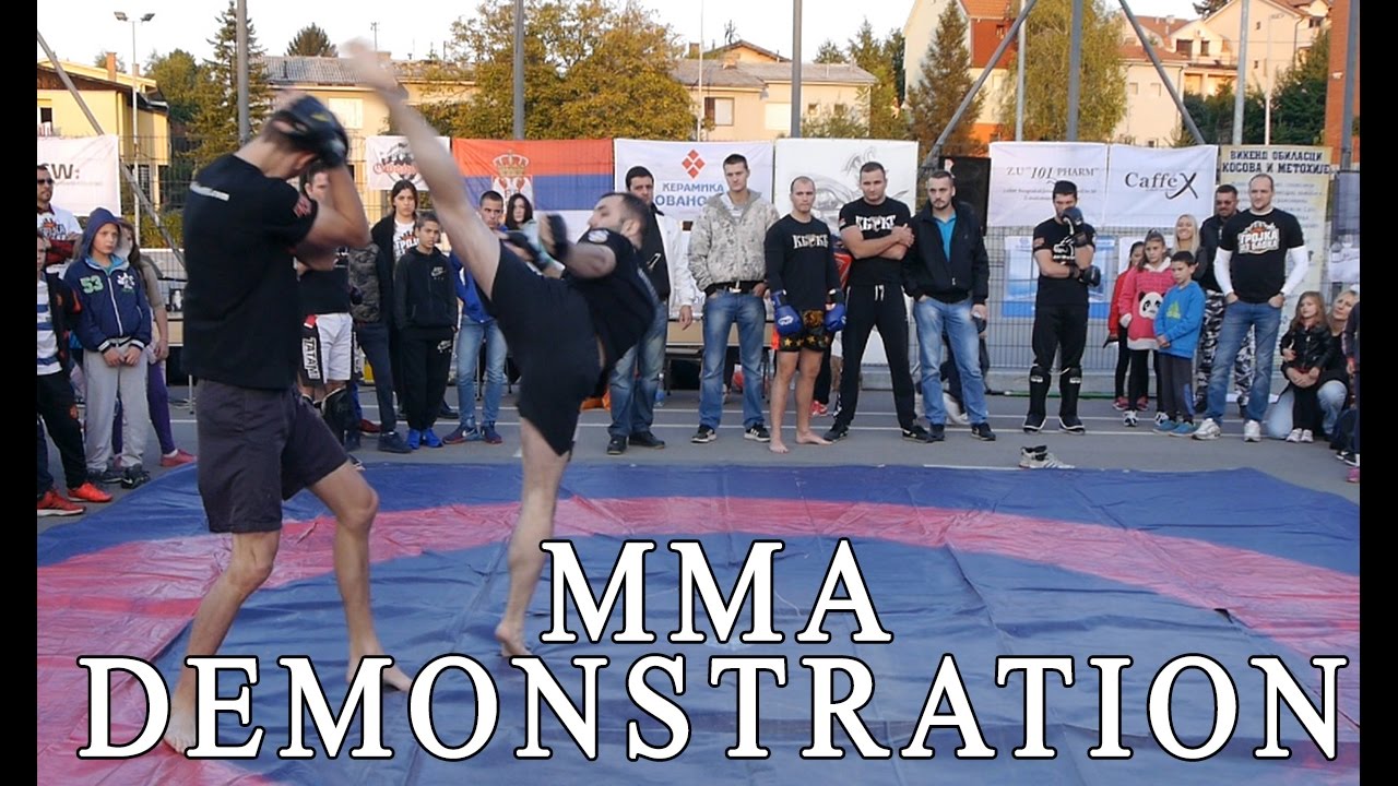 MMA demonstration - our instructors at a humanitarian event