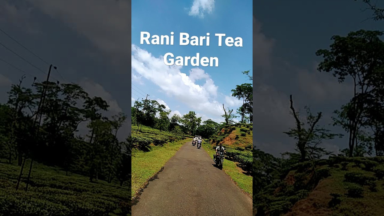 Rani Bari tea garden with #BJP bike rally