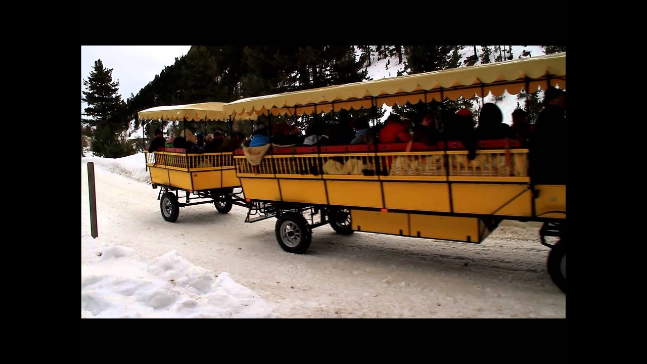Pferde Omnibus Pontresina / Val Roseg dans les Grisons en Suisse