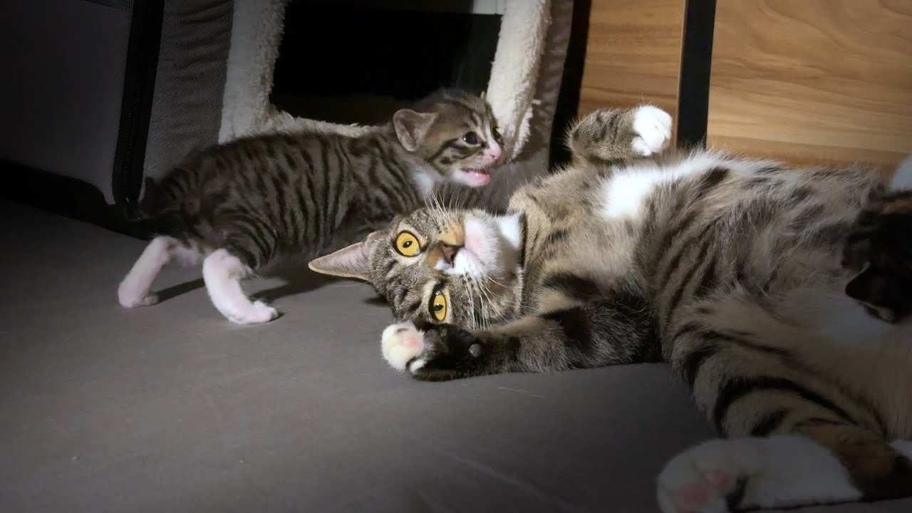 First Birth, Inexperienced Mom