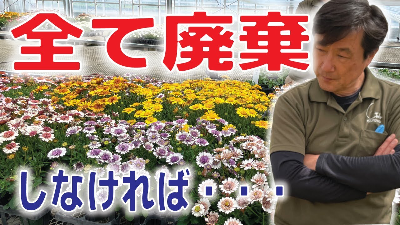初公開、数年掛け3,000分の1～2の確率で世に出る、ダブルオステオの厳しい審査基準を得て販売になる現場から