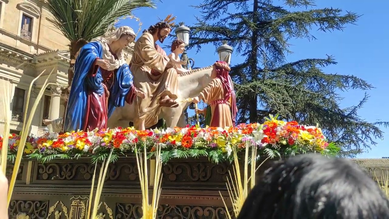 La Borriquilla llegando a la Catedral Salamanca 2023