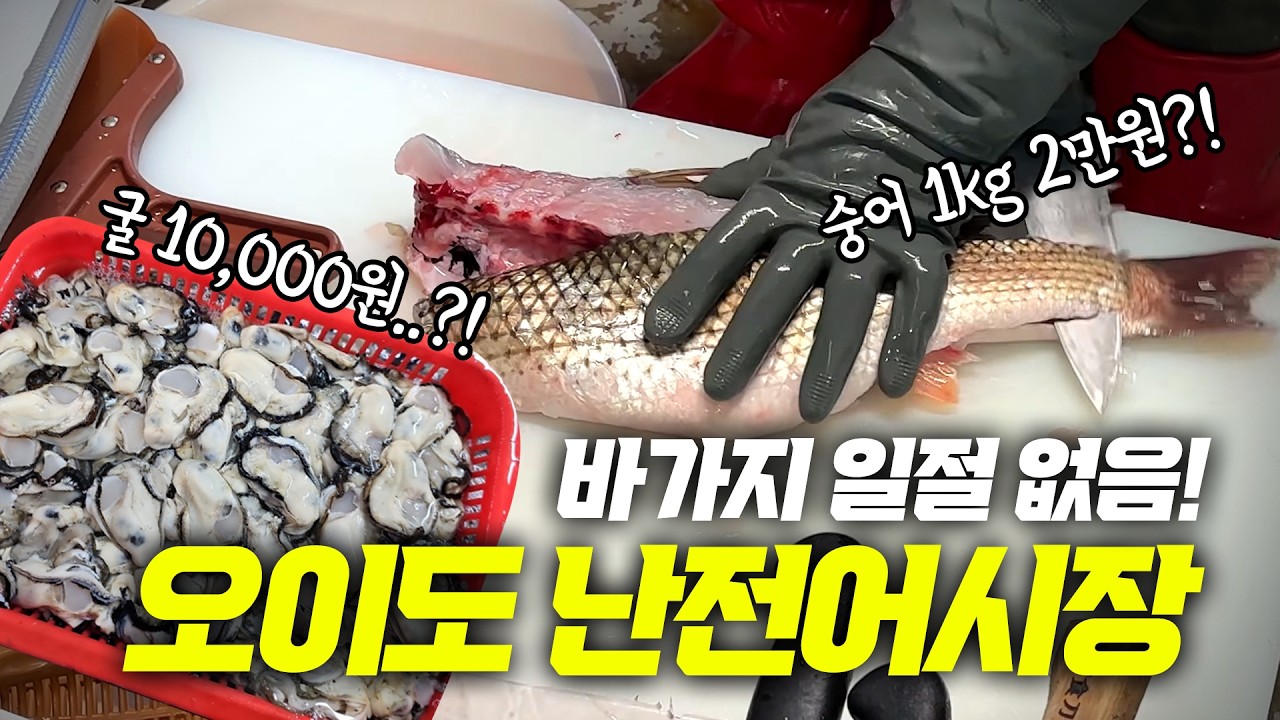 오이도 난전 어시장 다녀왔습니다. 호객행위,자리값 없는 최고의 가성비 수산시장 입니다!!