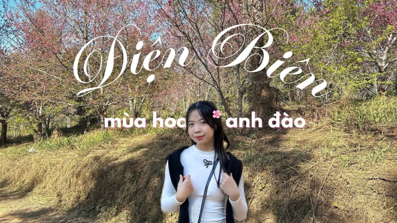 Điện Biên | Lạc vào mùa hoa anh đào