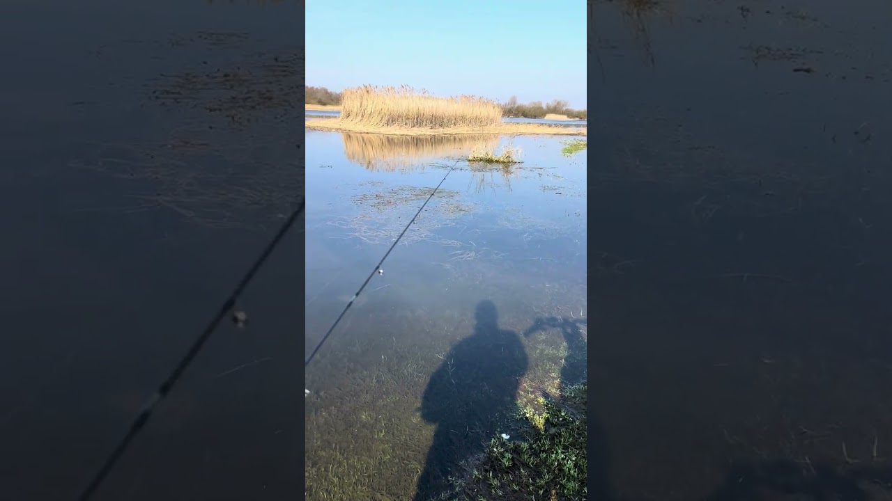 Мормишинг по місцевих озерах і річках, чи проснулась біла риба?