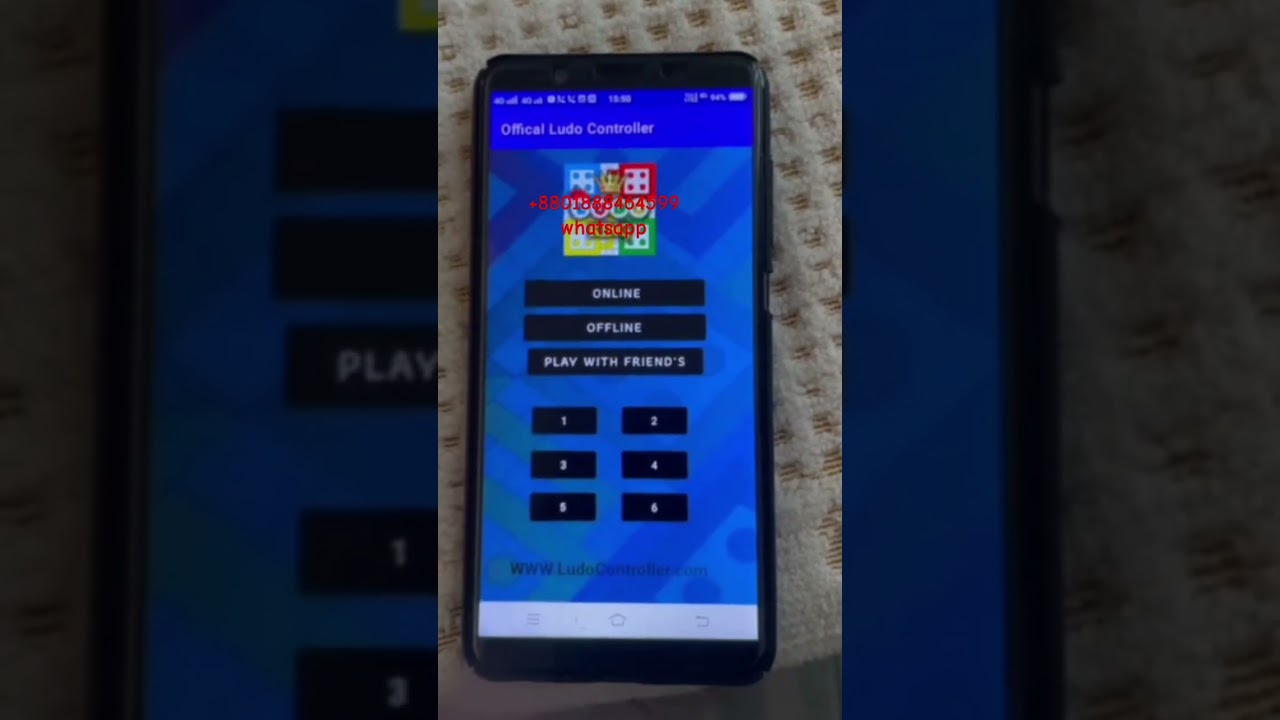 #ludo