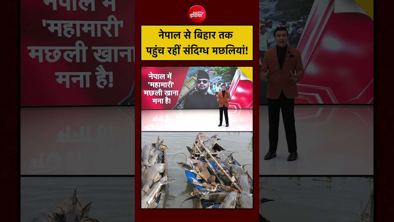 Syed Suhail | Bihar Fish News | Nepal Flash Flood | नेपाल से बिहार तक पहुंच रहीं संदिग्ध मछलियां!