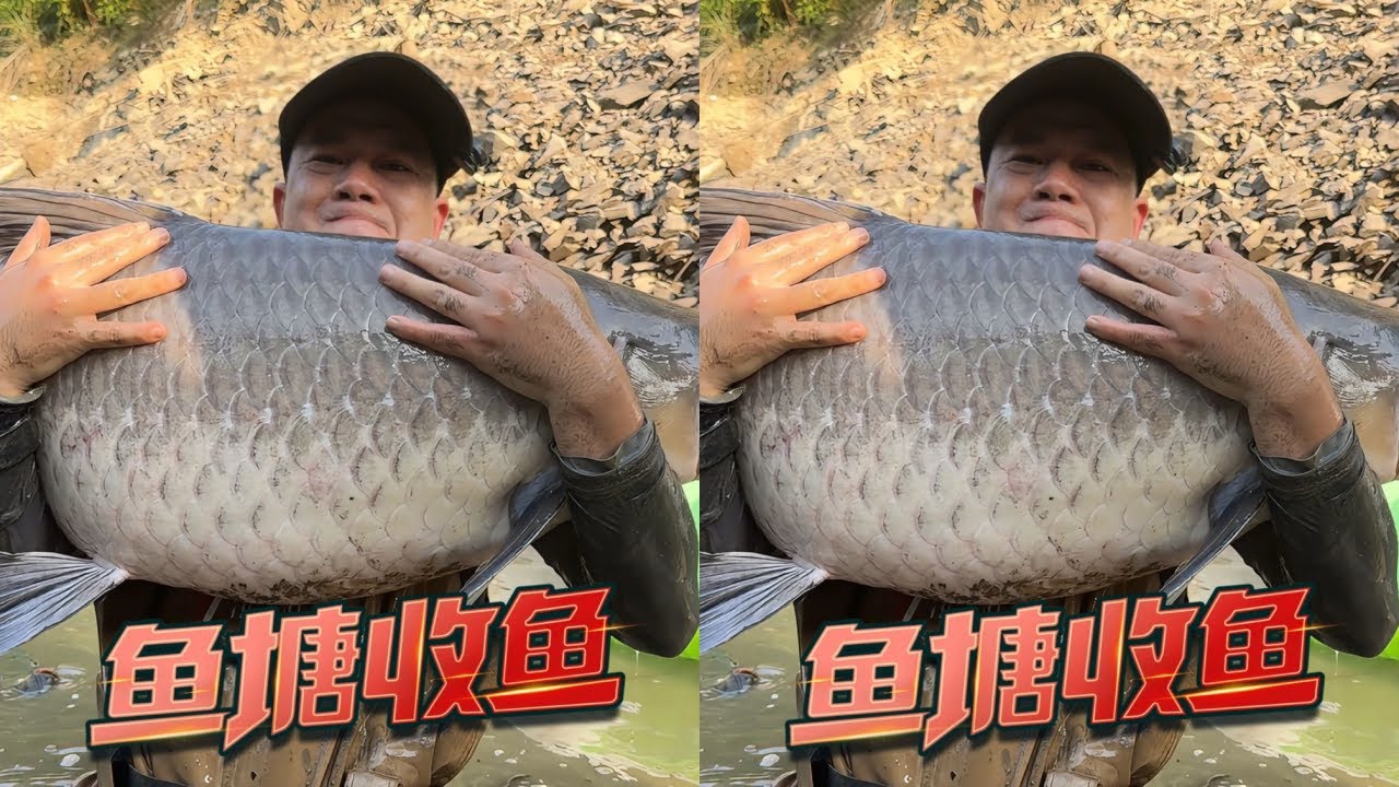 雀哥花10000元包下4米深简陋山塘盘巨物，这次能否挺直腰杆？
