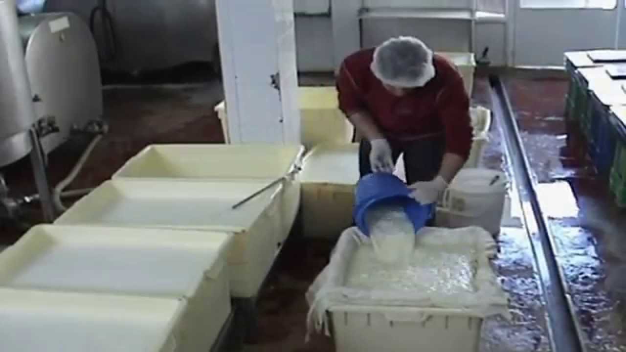 فيلم لطلاب المدارس عن انتاج الاجبان , how to make cheese