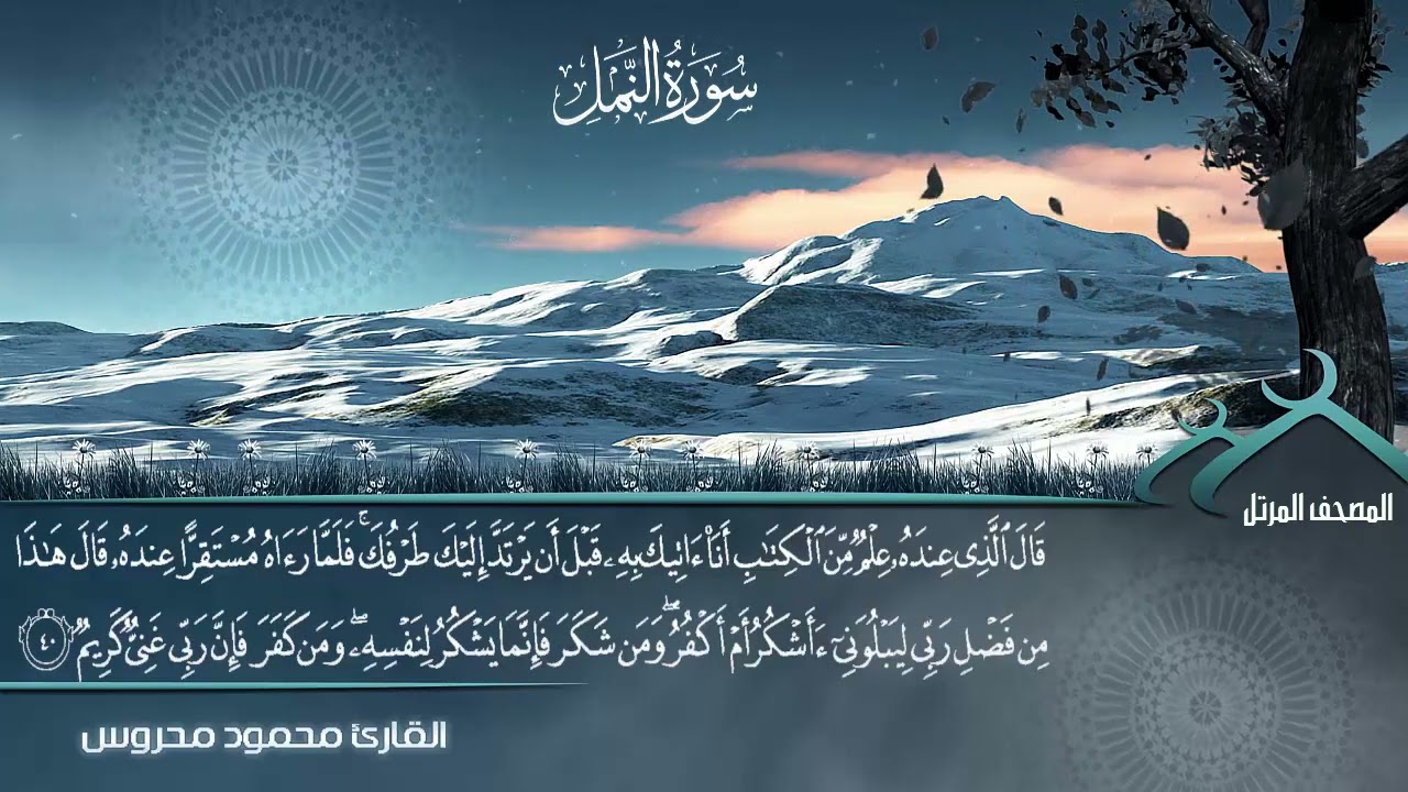 سورة  النمل برواية حفص عن عاصم  للقارئ محمود محروس  الختمه المرتله