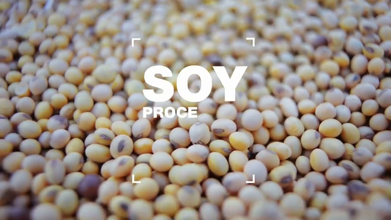 Bronto Soybean processing / 2022 05 25 / Ukraine