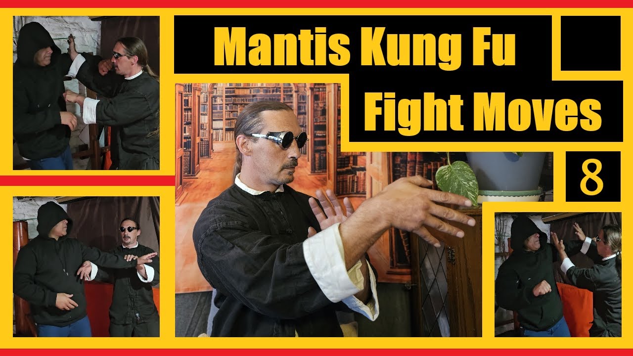 Mantis Kung Fu, Fight Moves 8