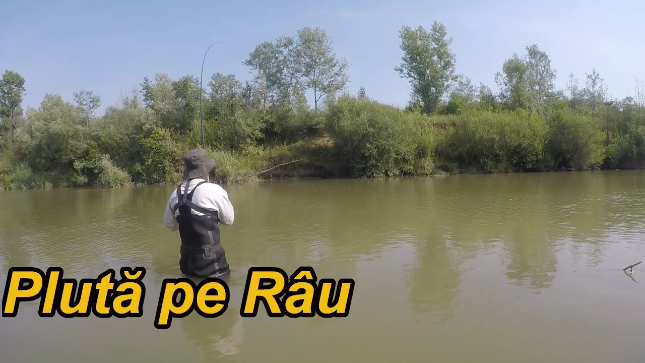 Pescuit la Plută pe Râul Siret cu Mămăligă