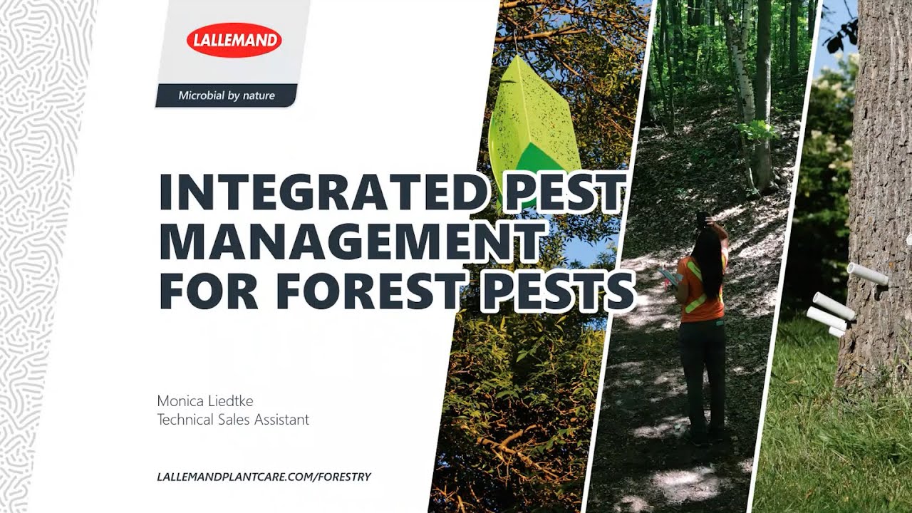 Integrated Pest Management for Forest Pests