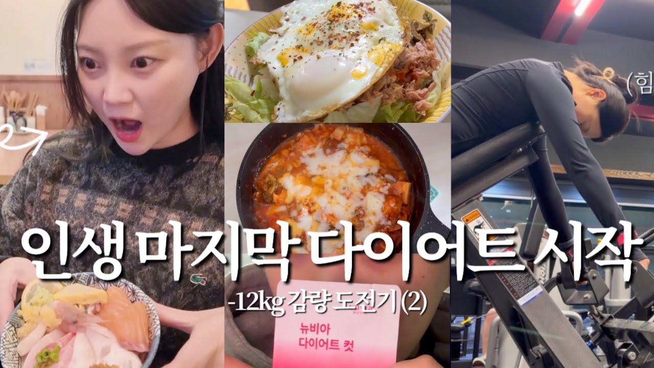 인생 마지막 다이어트 | -12kg 감량 도전기(2) 다이어트 보조제, 다들 이렇게 먹잖아요?