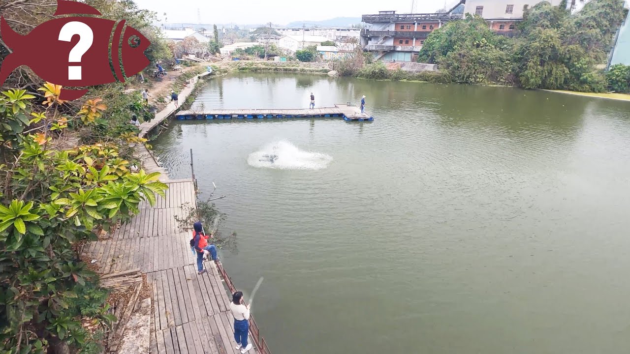 (高雄休閒池)湖邊咖啡簡餐休閒廣場，路亞池!來釣大嘴黑鱸吧!│Taiwan fishing