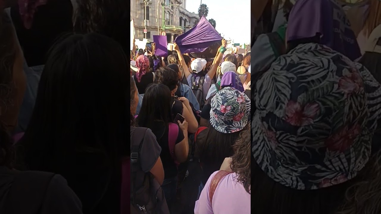 #feminismo #antiespecista #8m #govegan #vegan #veganismo #consignas #fyp #cdmx