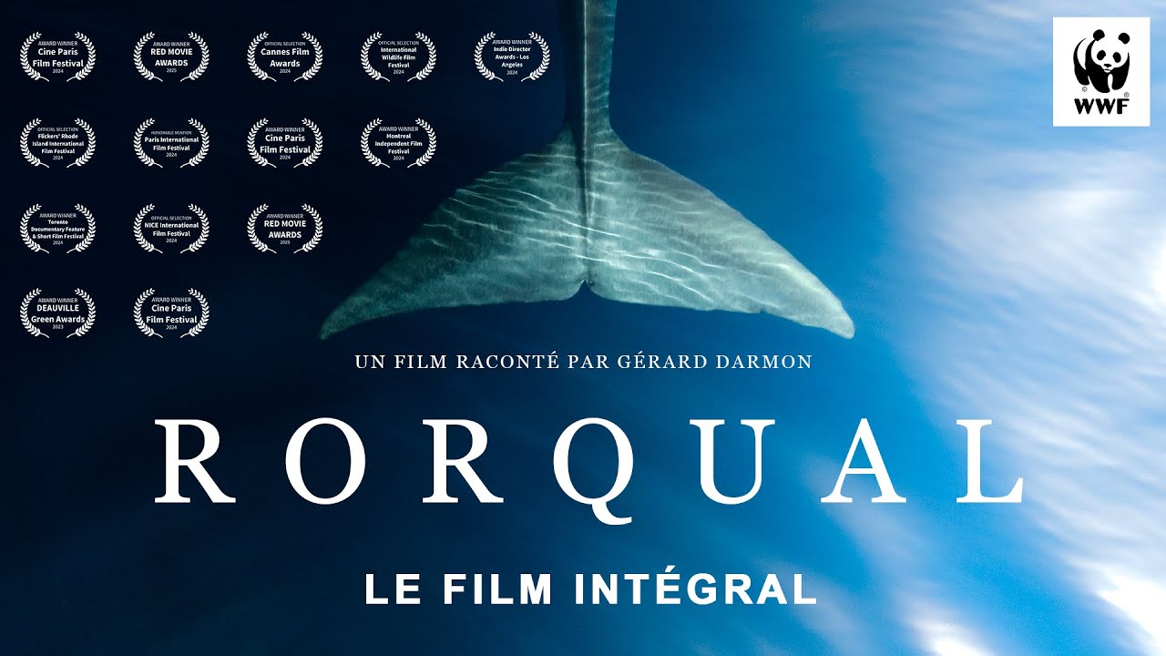 RORQUAL - Un film du WWF | Gérard Darmon