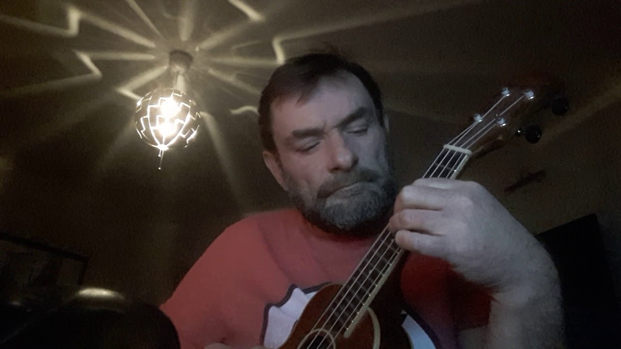 Sound Of Silence Ukulele cover.