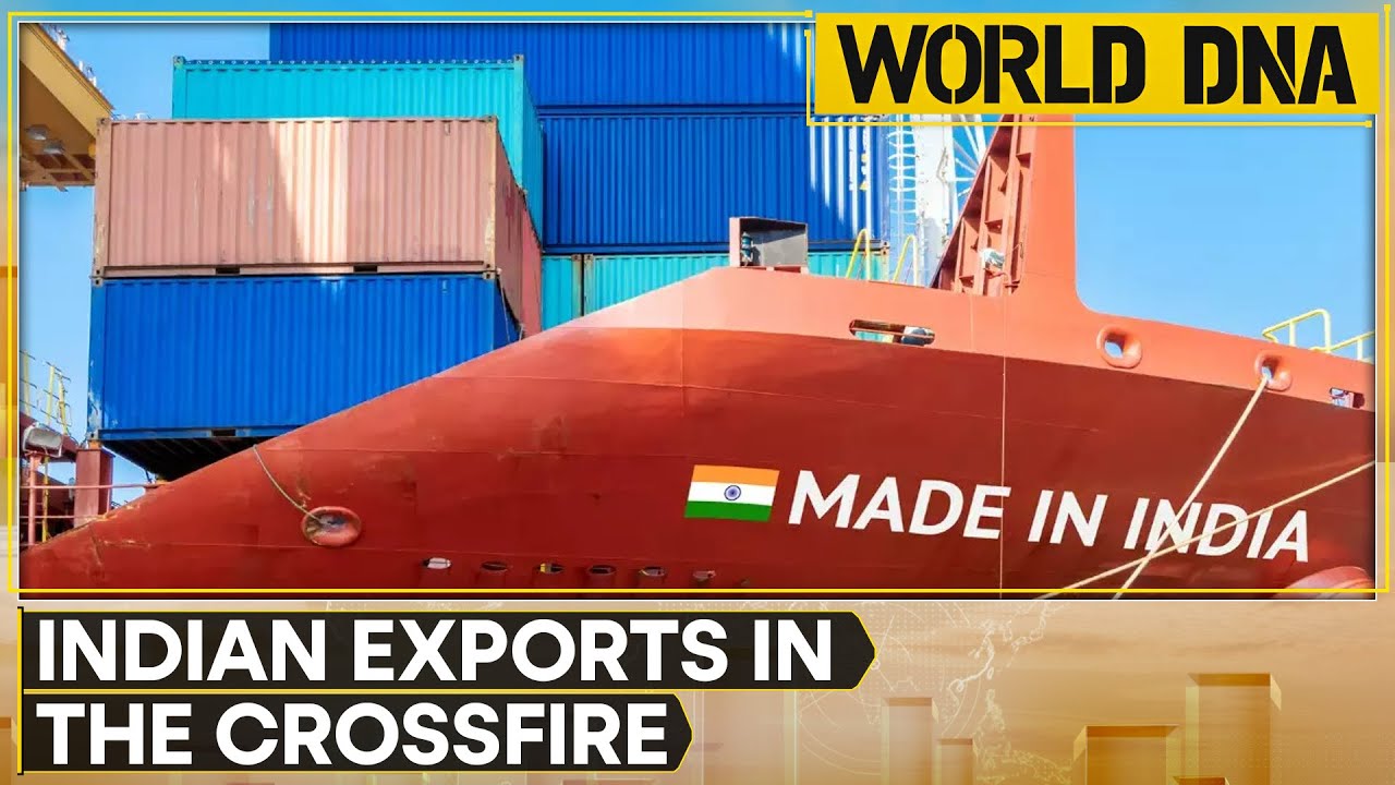 Red sea disruptions dent India's exports | World DNA
