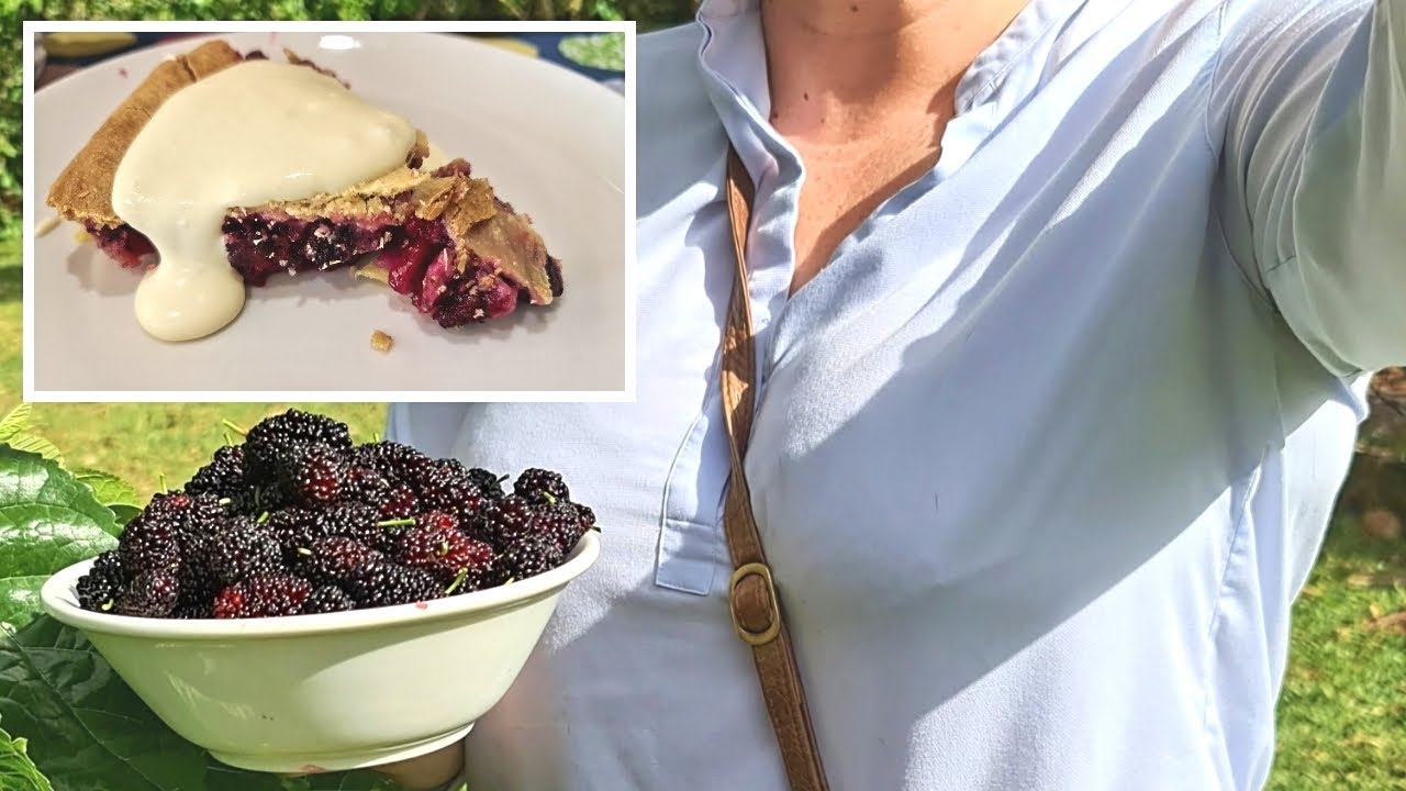 EASY Home Made/Grown Mulberry Pie Recipe