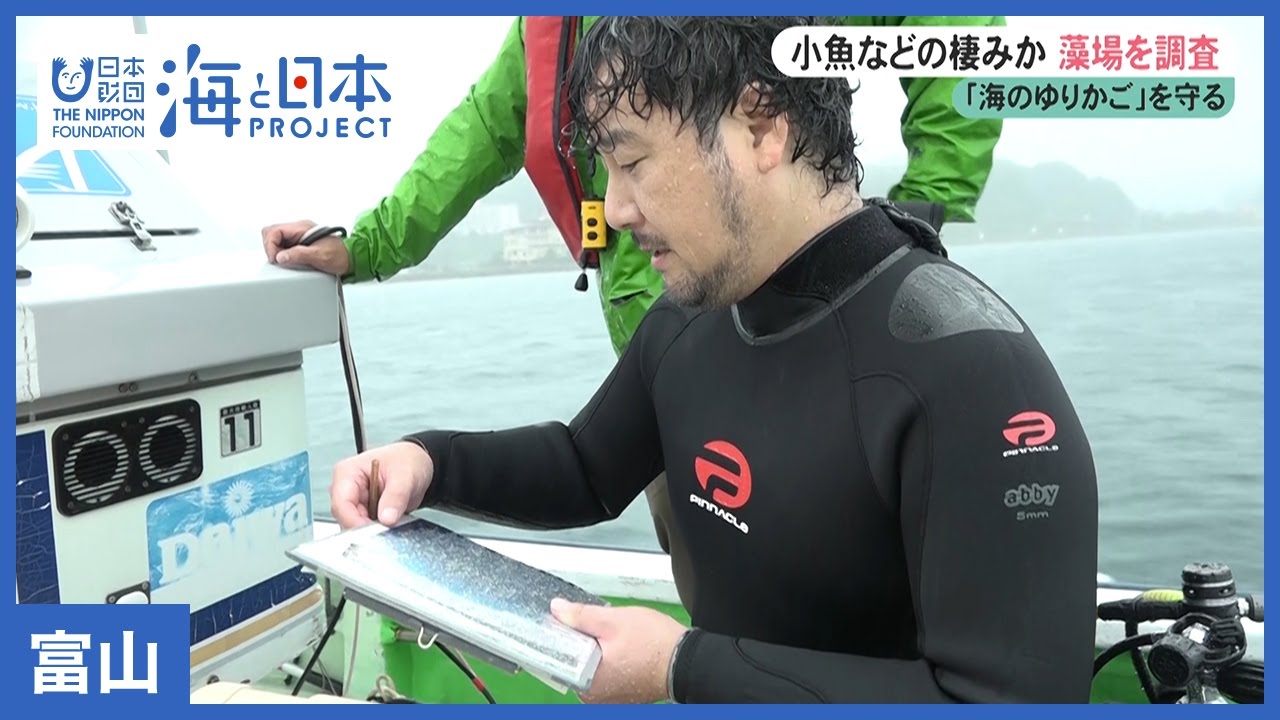 #32 リモートセンシング・藻場調査｜海と日本PROJECT in 富山