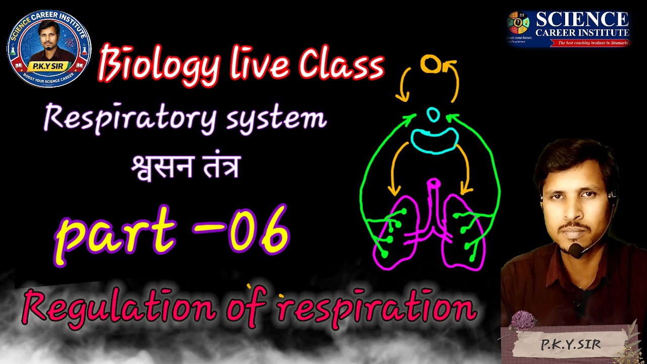 Respiratory system part o6, by- P.K.Y.sir #class11biology