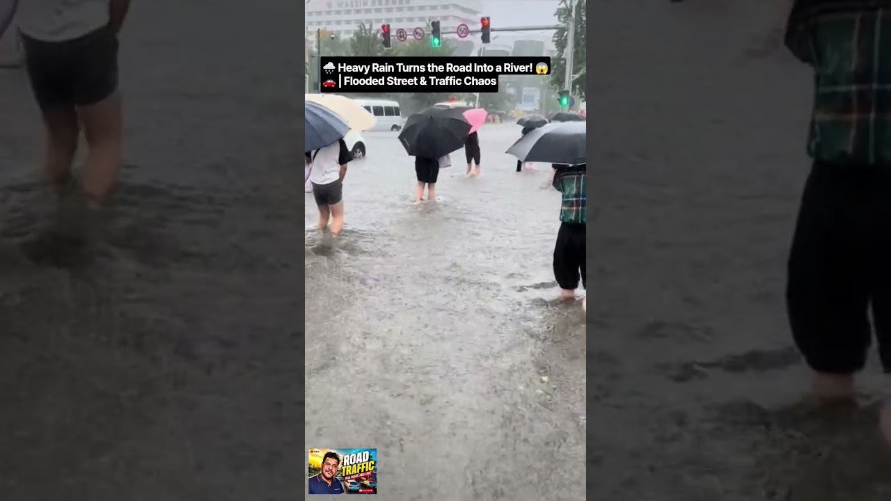 🌧️ Heavy Rain Turns the Road Into a River! 😱🚗 | Flooded Street & Traffic Chaos #shorts