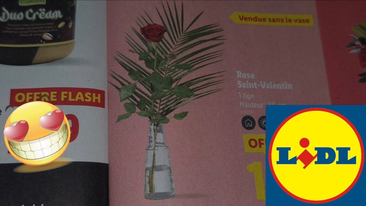 ARRIVAGE LIDL 10 F&Eacute;VRIER 2026