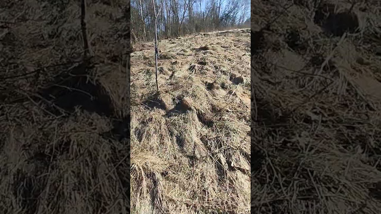 15)рыбалка и лёгкая прогулка