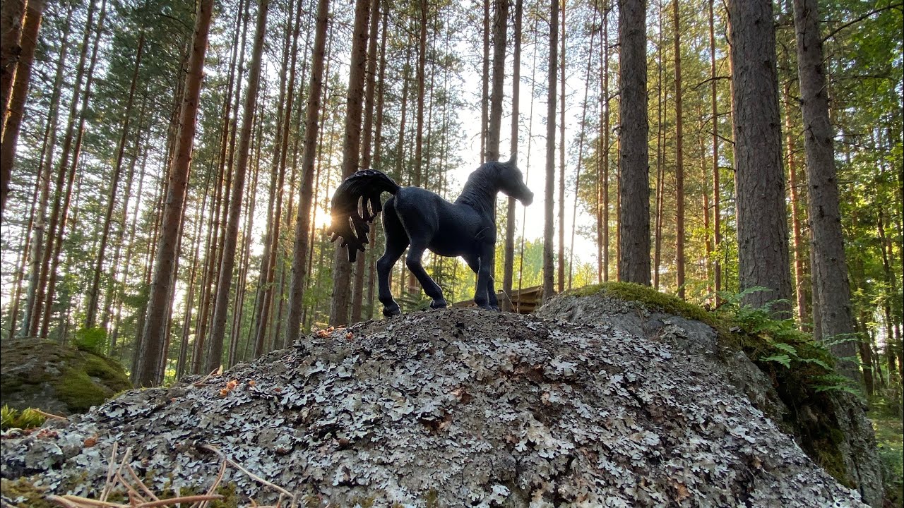 Saaren arvoitus/lyhytelokuva