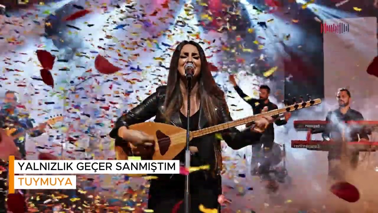 Yalnızlık geçer sanmıştım