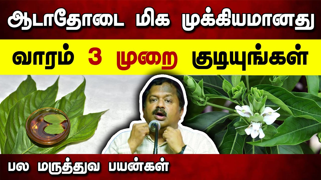 ஆடாதோடை மருத்துவ பயன்கள் | Dr. Sivaraman speech in Tamil | Adathodai benefits in Tamil | Health
