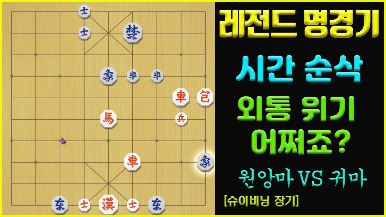 [레전드 명경기] 무서운 한방!! (슈이비닝 장기)