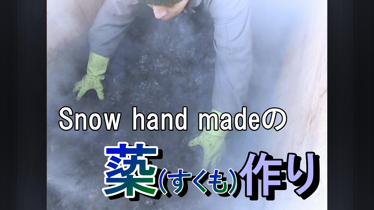 蒅 (すくも) 作り