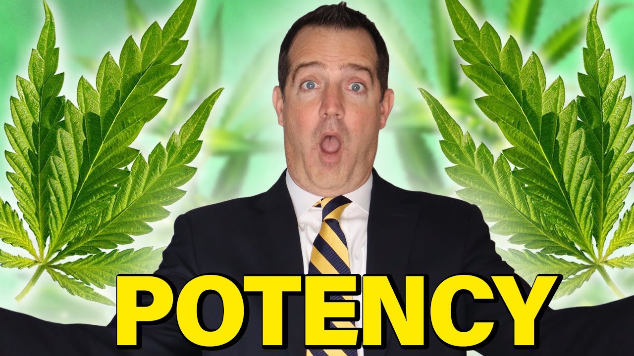 Marijuana Potency | Measuring THC levels
