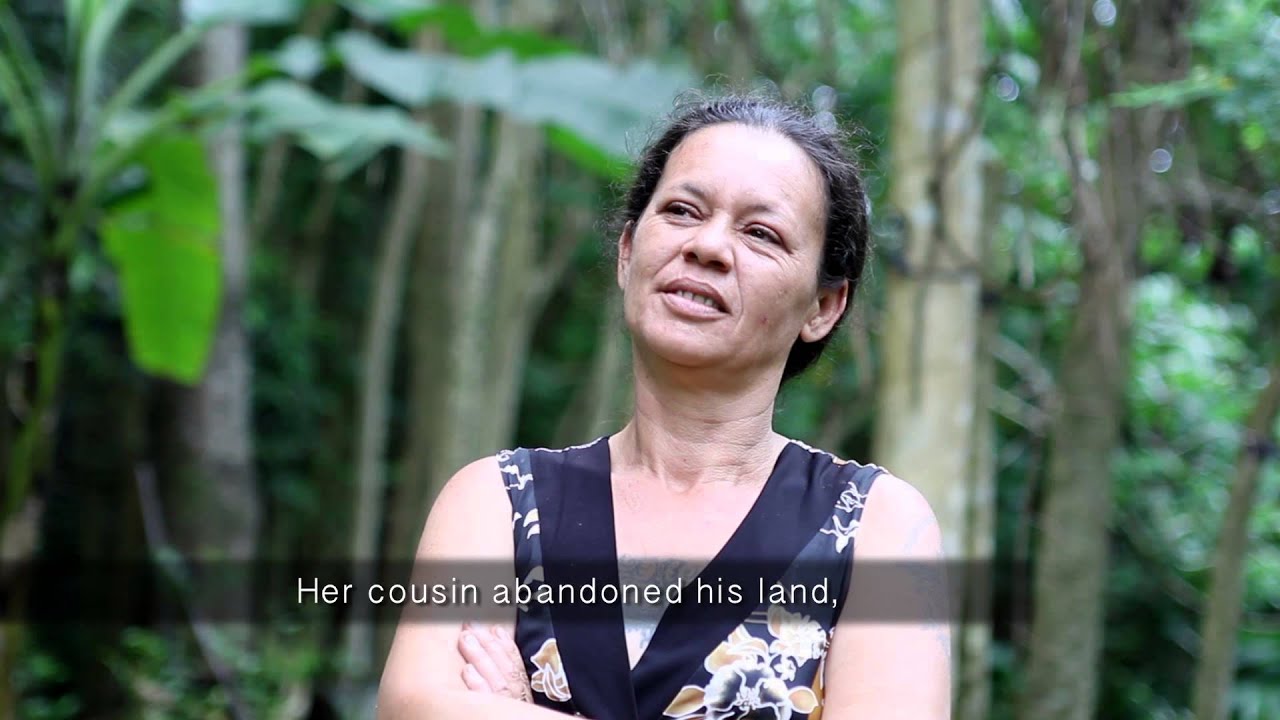 [7.5 minute version] Invasion -  Little Fire Ants in Hawai'i